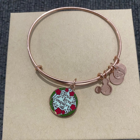 New! Alex and Ani Aurora Bangle - Picture 4 of 4